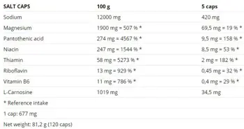 NUTREND Salt Caps Соли и Минерали - 120 капсули, 60 дози