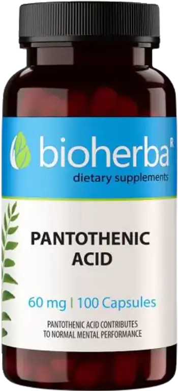 Bioherba Pantothenic Acid Vitamin B-5 60 mg Пантотенова киселина - 100 капсули