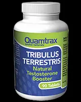 Tribulus Terrestris 90 Таблетки