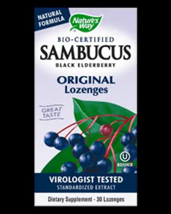 Sambucus Immune System Syrup Сироп за имунна система 240 мл