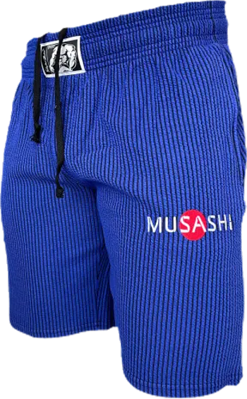 Спортни къси панталони - Сини райе / Training Shorts - Blue