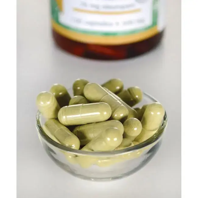 Swanson Olive Leaf Extract Екстракт от Маслинови Листа 500 мг х 120 капсули