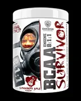 BCAA SURVIVOR 8:1:1 - 400 грама, 34 Дози