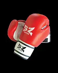 Boxing gloves - боксови ръкавици