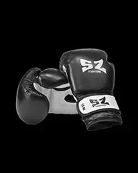 Boxing gloves - боксови ръкавици