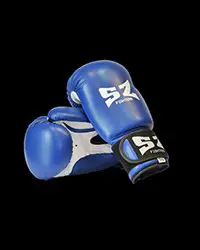 Boxing gloves - боксови ръкавици