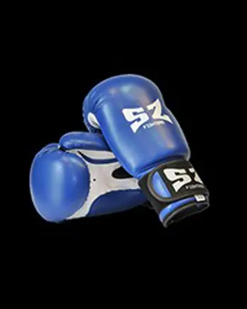 Boxing gloves - боксови ръкавици