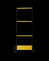 Quick Ladder - Бърза стълба