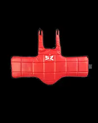 Body protector - Предпазна ризница