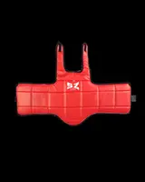 Body protector - Предпазна ризница