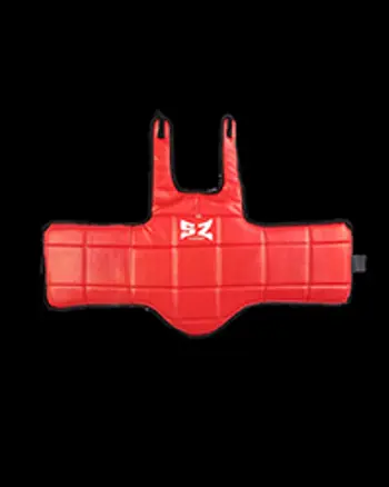 Body protector - Предпазна ризница