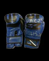 Boxing gloves EVO LINE BEAST - Боксови ръкавици