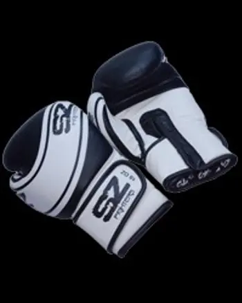 Boxing Gloves Evo Line Champion - Genuine Leather - Боксови ръкавици