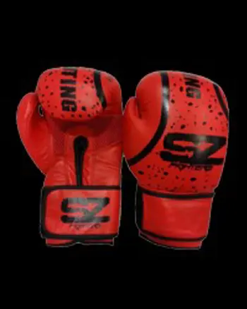 Boxing Gloves EVO - Боксови ръкавици