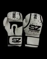 Boxing Gloves Evo - Боксови ръкавици