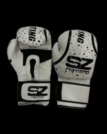 Boxing Gloves Evo - Боксови ръкавици