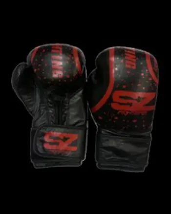 Boxing Gloves Evo - Боксови ръкавици