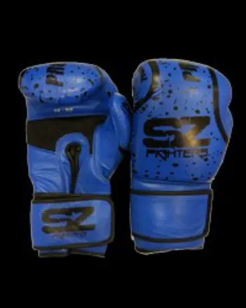 Boxing Gloves Evo - Боксови ръкавици