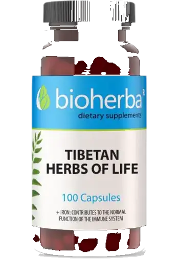 Bioherba Tibetan Herbs of Life Билкова формула за детоксикация и имунитет х 100 капсули