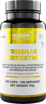 Трибулус Терестрис / Tribulus Terrestris 204 mg | with 98% Saponins
