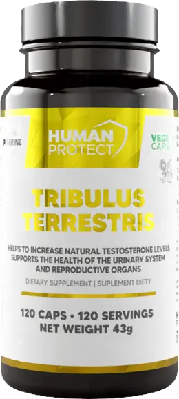 Трибулус Терестрис / Tribulus Terrestris 204 mg | with 98% Saponins
