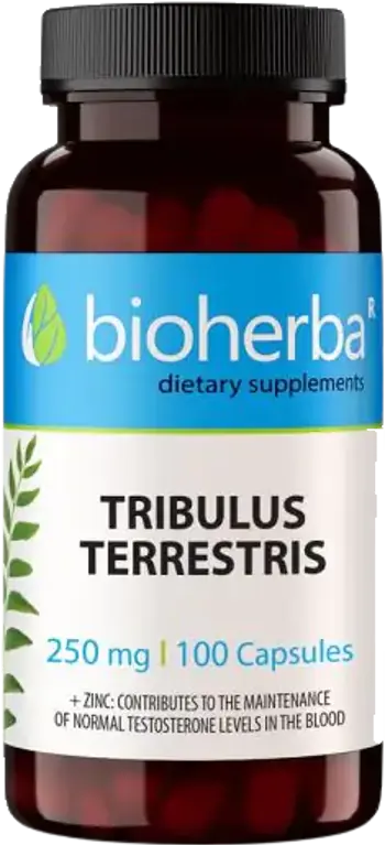 Bioherba Tribulus Terrestris 250 mg Бабини зъби за тестостерон и либидо х 100 капсули