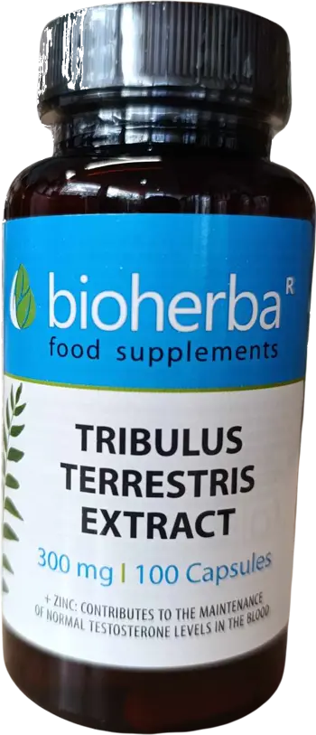 Bioherba Tribulus Terrestris Extract 300 mg За повишаване на либидото и тестостерона