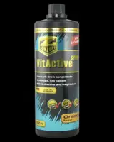 VitActive Syrup 1000 мл