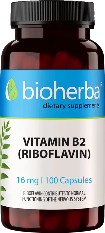 Bioherba Vitamin B-2 (Riboflavin) 16 mg За енергиен метаболизъм и здраве на щитовидната жлеза х 100 капсули