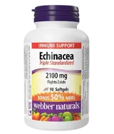 Webber Naturals Echinacea Triple Standardized 2100 мг Имунитет Ехинацея (Тройно Стандартизиран Екстракт) - 90 софтгел капсули, 90 дози