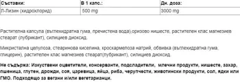 WEBBER NATURALS L-Lysine 500 мг Л-Лизин Имунна система - 60 веге капсули, 60 дози