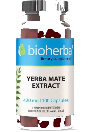 Bioherba Yerba Mate Extract 420 mg Екстракт от Йерба Мате х 100 капсули