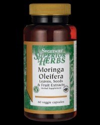 Moringa Oleifera