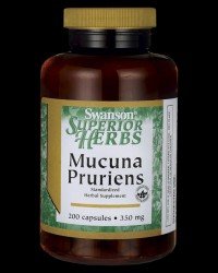 Mucuna Pruriens