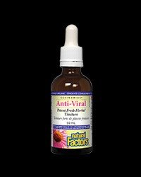 Anti-Viral Potent Fresh Herbal Tincture 50 ml