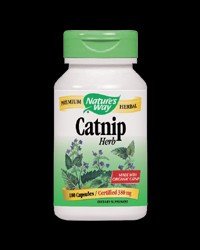 Catnip Herb