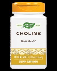 Choline 500 mg