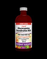 Glucosamine Chondroitin & MSM liquid