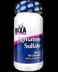 Agmatine Sulfate 500 mg
