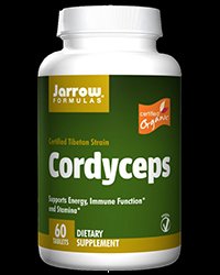 Cordyceps (Organic) 500mg