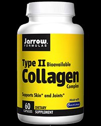 type 2 collagen