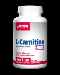 l carnitine