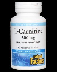 L-Carnitine 500 mg