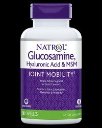 Glucosamine, Hyaluronic Acid & MSM