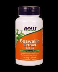 Boswellia Extract 250 mg