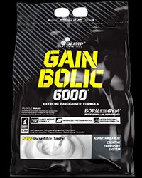 Gain Bolic 6000