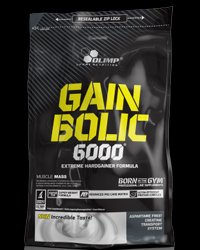 Gain Bolic 6000