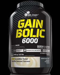 Gain Bolic 6000