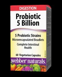 Probiotic 5 Billion Active Probiotics